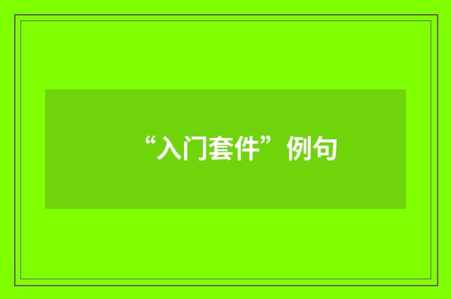 “入门套件”例句