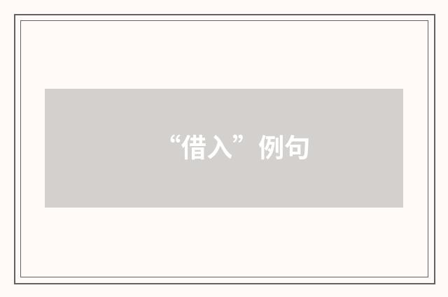 “借入”例句