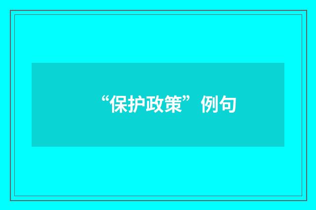 “保护政策”例句