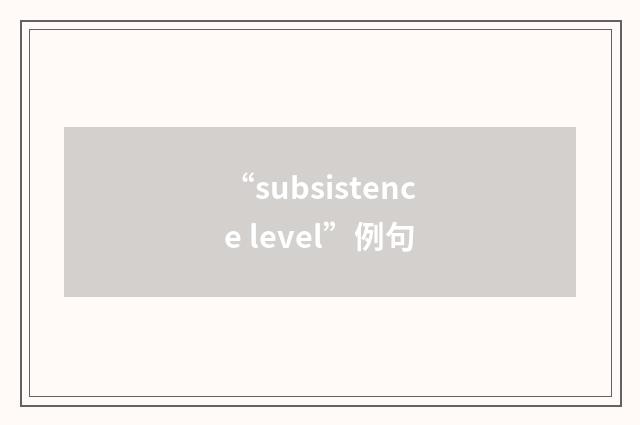“subsistence level”例句