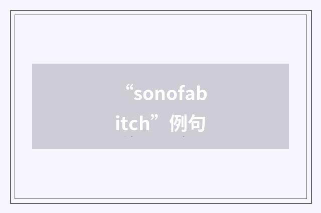 “sonofabitch”例句