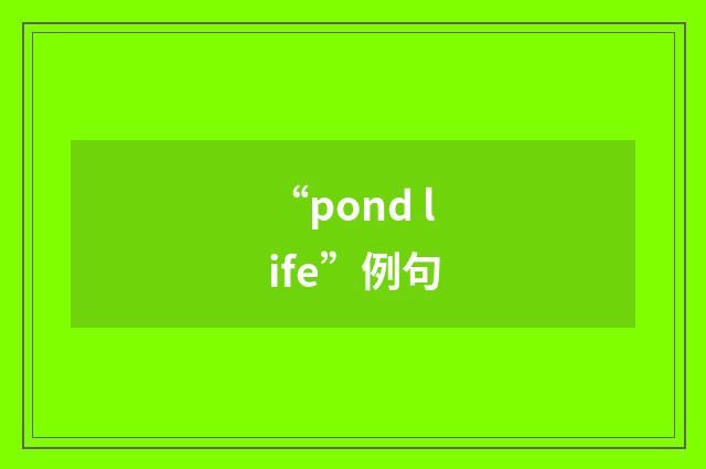 “pond life”例句