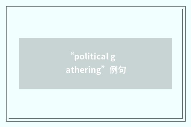 “political gathering”例句