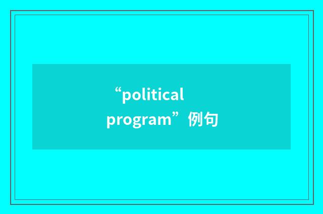 “political program”例句
