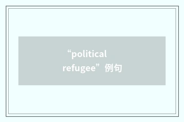 “political refugee”例句