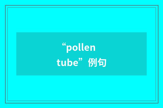 “pollen tube”例句