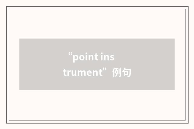 “point instrument”例句