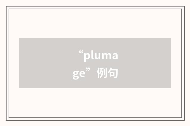 “plumage”例句