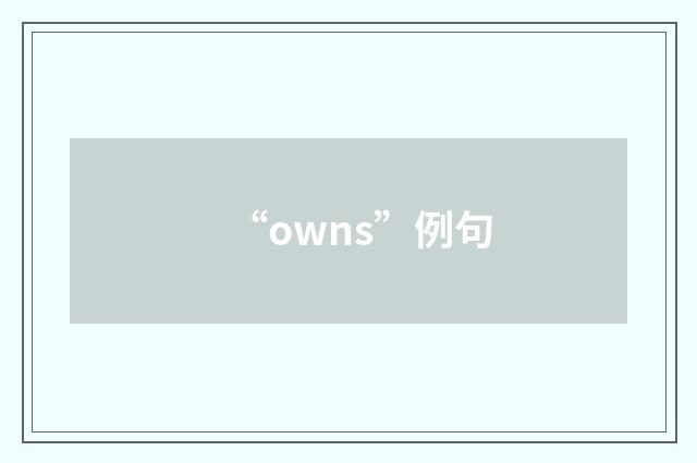“owns”例句