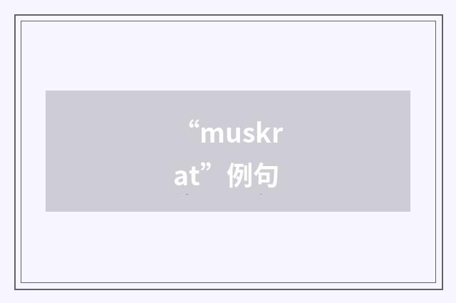“muskrat”例句