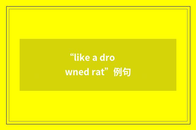 “like a drowned rat”例句