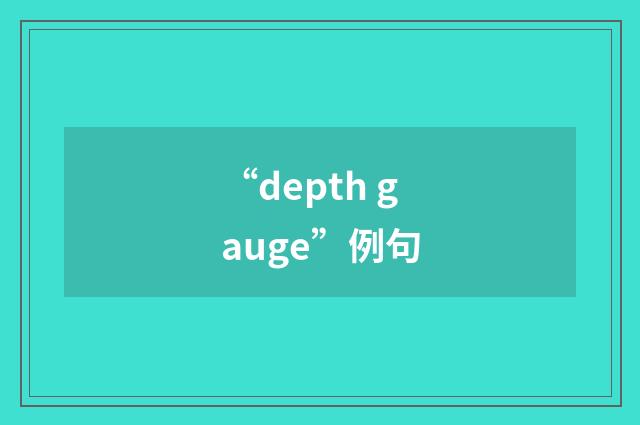 “depth gauge”例句