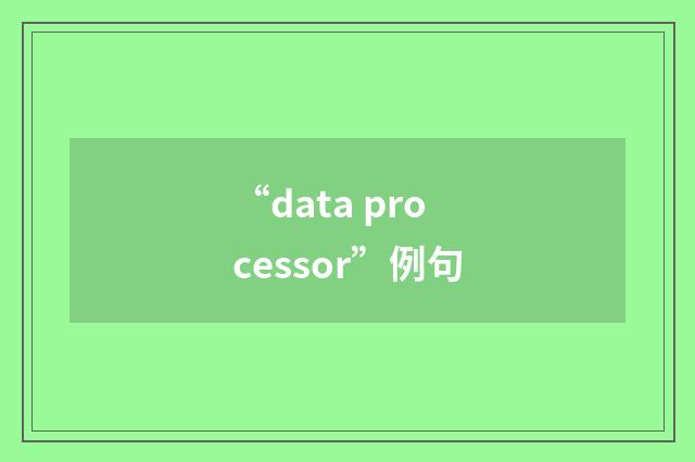 “data processor”例句