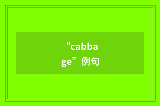 “cabbage”例句