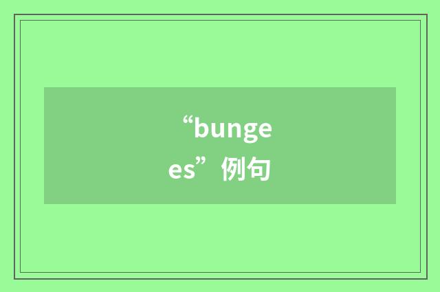“bungees”例句