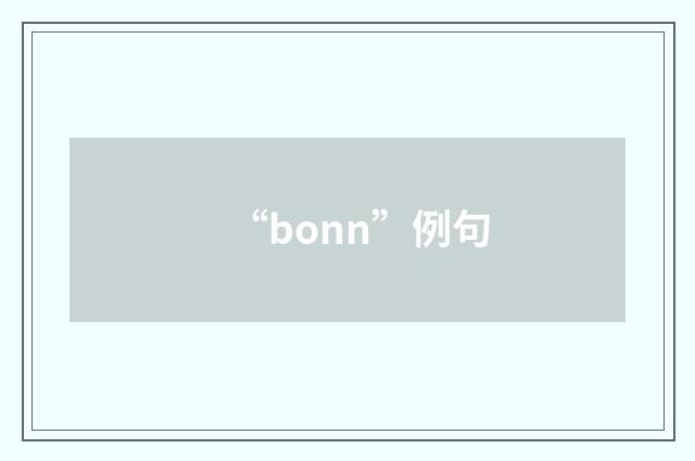 “bonn”例句