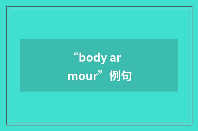 “body armour”例句