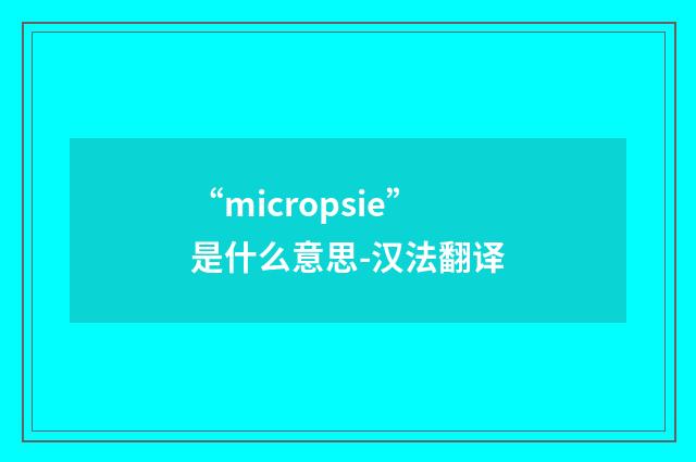 “micropsie”是什么意思-汉法翻译