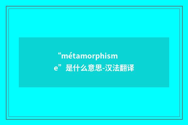 “métamorphisme”是什么意思-汉法翻译