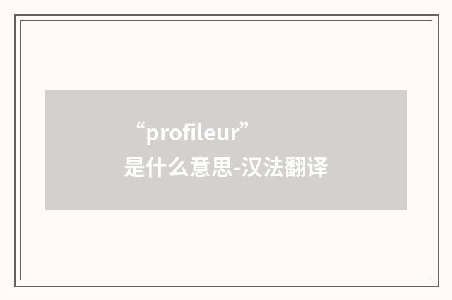 “profileur”是什么意思-汉法翻译