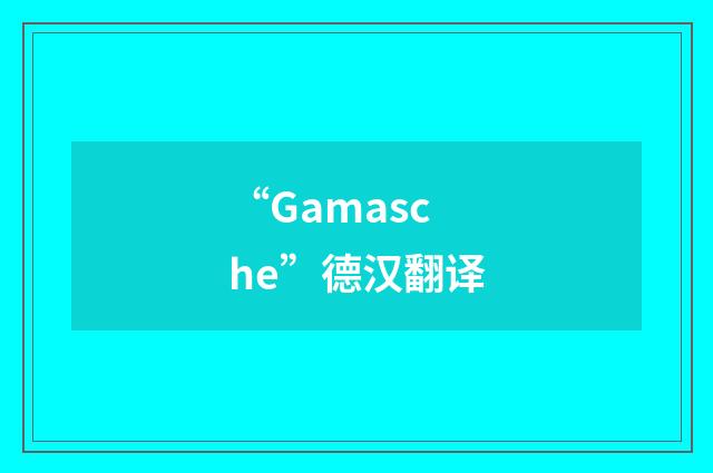 “Gamasche”德汉翻译