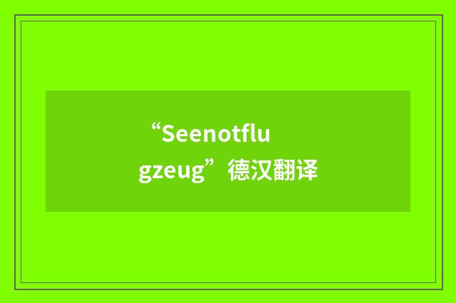 “Seenotflugzeug”德汉翻译