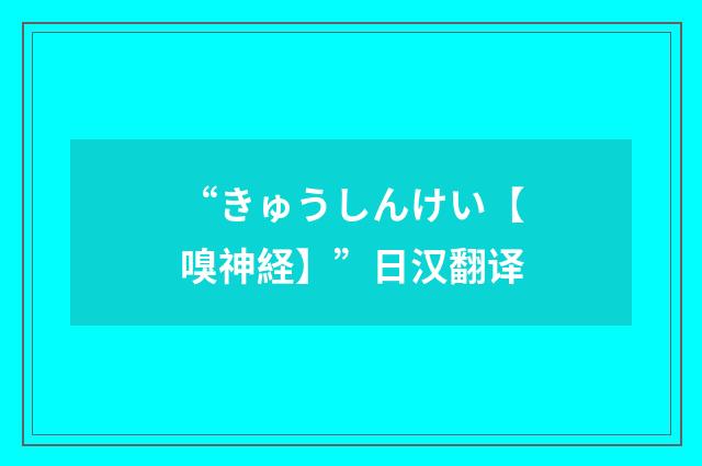 “きゅうしんけい【嗅神経】”日汉翻译
