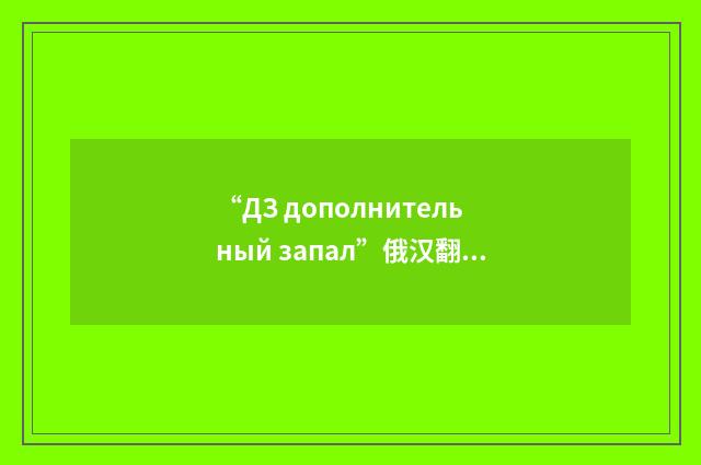 “ДЗ дополнительный запал”俄汉翻译