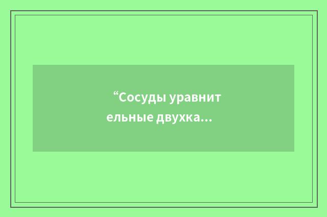 “Сосуды уравнительные двухкамерные”俄汉翻译