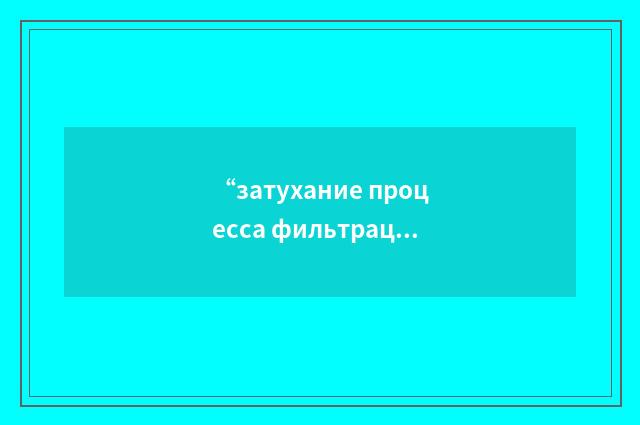 “затухание процесса фильтрации”俄汉翻译