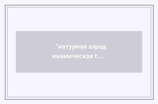 “натурная аэродинамическая труба”俄汉翻译