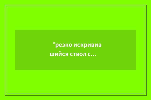 “резко искривившийся ствол скважины”俄汉翻译
