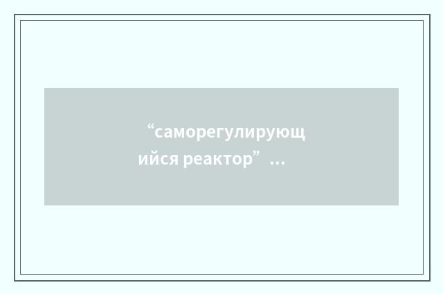 “саморегулирующийся реактор”俄汉翻译