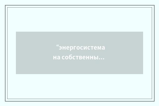 “энергосистема на собственные нужды”俄汉翻译