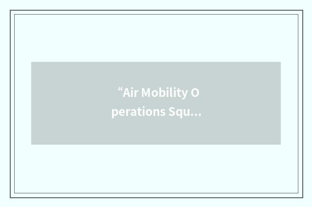 “Air Mobility Operations Squadron”缩略