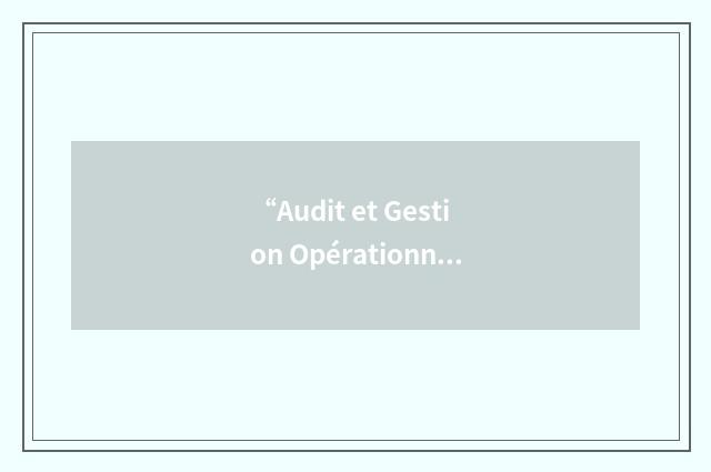 “Audit et Gestion Opérationnels”缩略