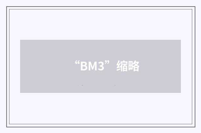 “BM3”缩略