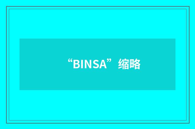 “BINSA”缩略