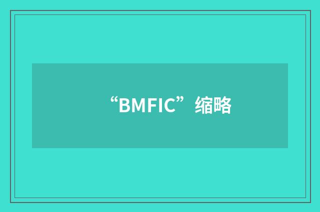 “BMFIC”缩略