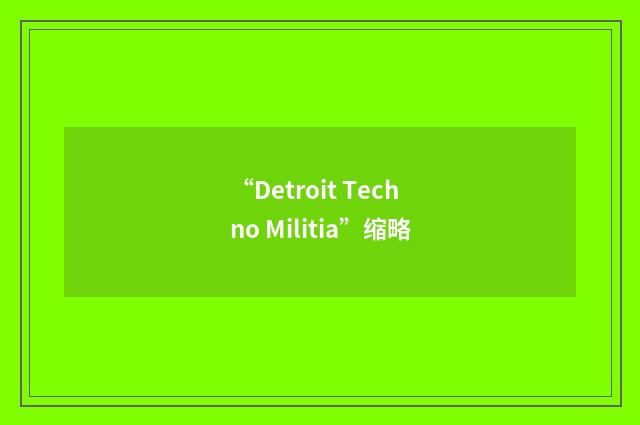 “Detroit Techno Militia”缩略