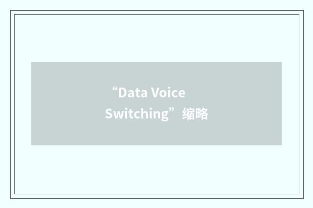 “Data Voice Switching”缩略