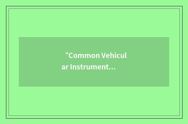 “Common Vehicular Instrumentation Initiative”缩略