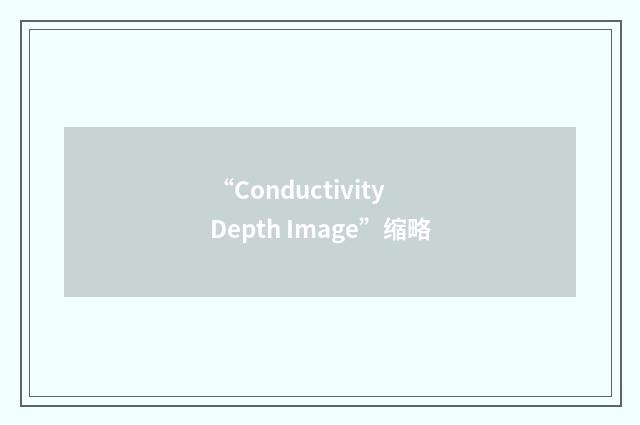 “Conductivity Depth Image”缩略