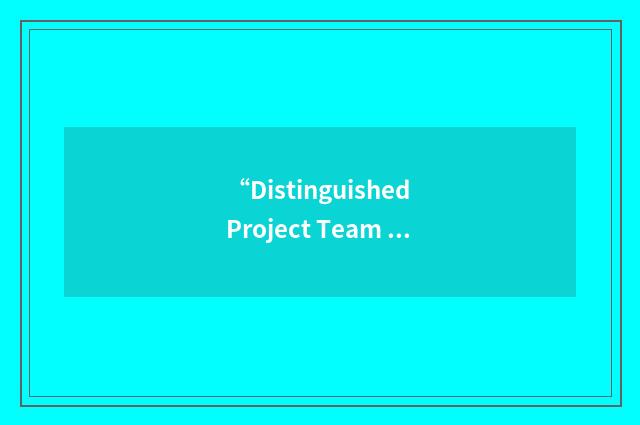 “Distinguished Project Team Award”缩略