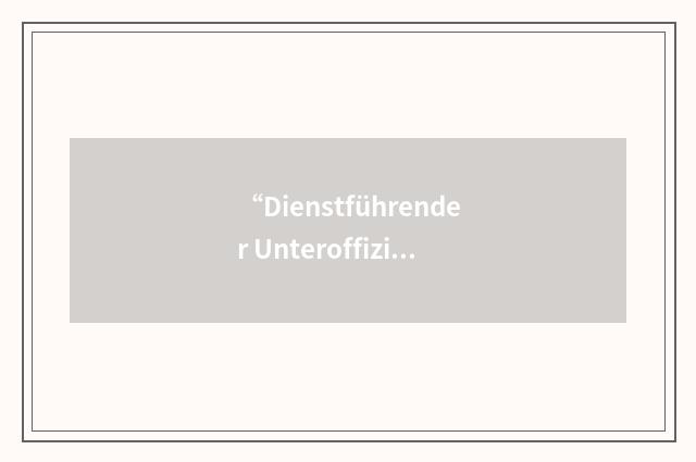 “Dienstführender Unteroffizier”缩略