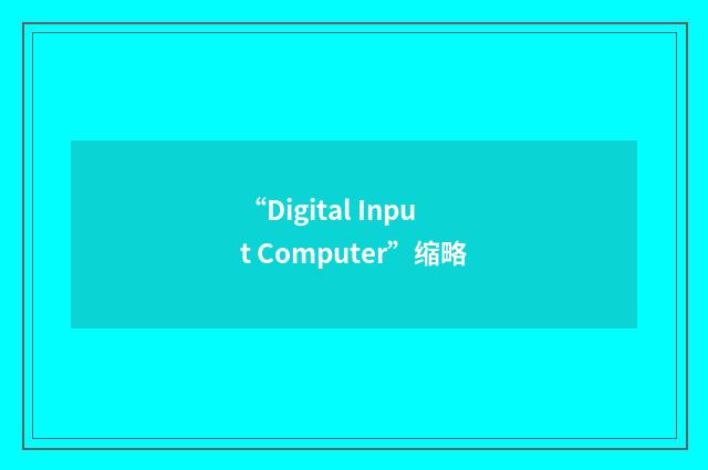 “Digital Input Computer”缩略