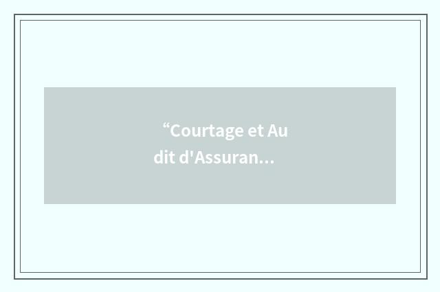 “Courtage et Audit d'Assurances”缩略