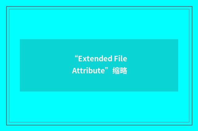 “Extended File Attribute”缩略
