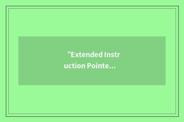 “Extended Instruction Pointer”缩略