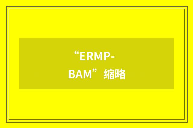 “ERMP-BAM”缩略